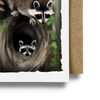 Hiding Baby Raccoon Card
