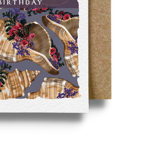 Birthday Horse Conch Shell Card