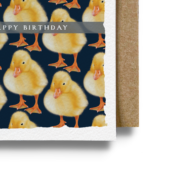 Birthday Baby Duck Card