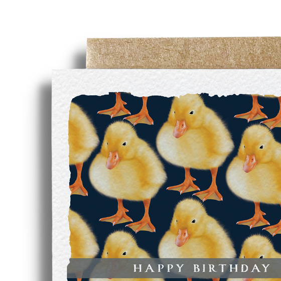 Birthday Baby Duck Card