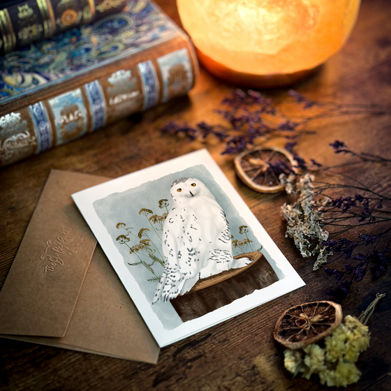 Snowy Owl Card