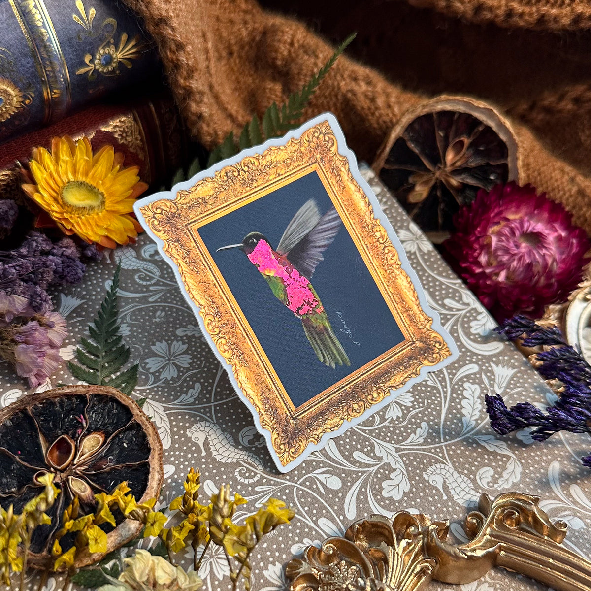 Framed Sticker Collection Hummingbird Vintage Framed Vinyl Sticker – The Crafted Goat