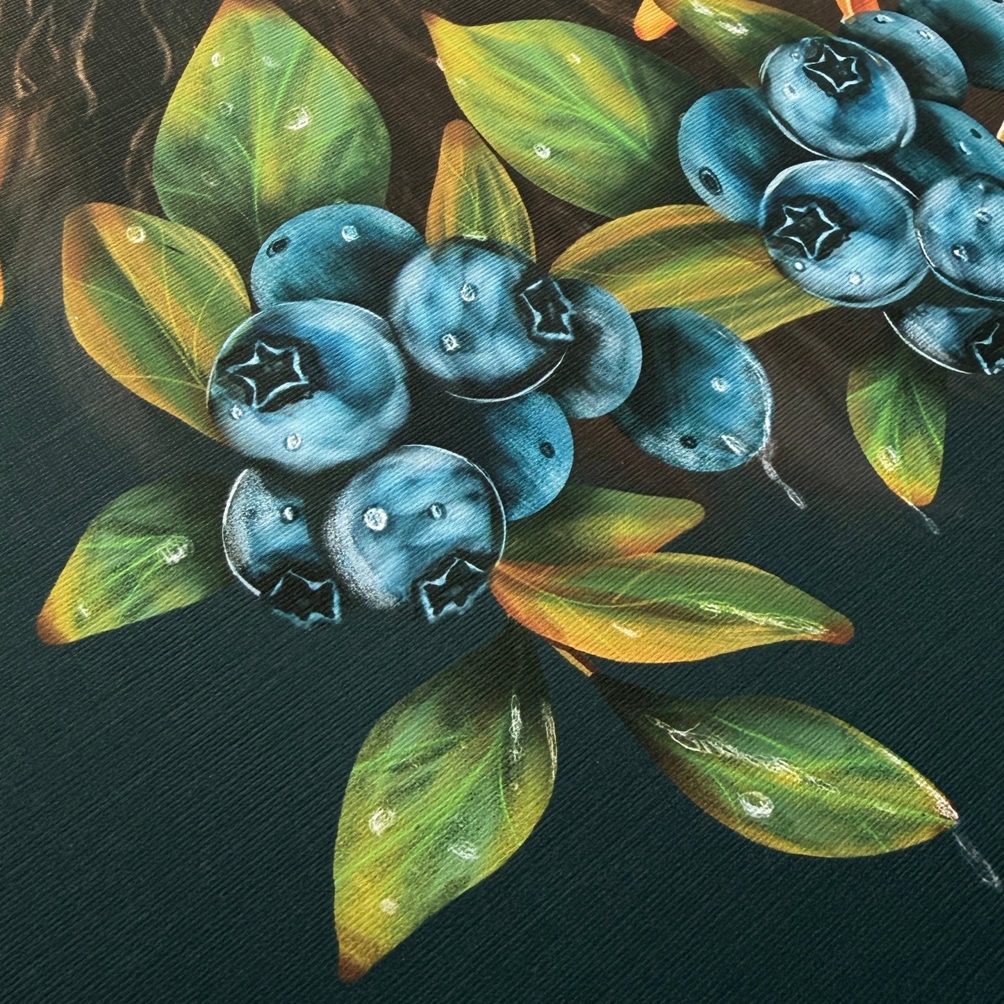 Illustration of blueberries and leaves on a textured surface