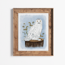  Snowy Owl Print