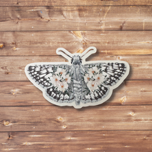  Common Checkered Skipper Butterfly Clear Vinyl Sticker